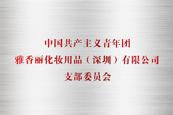 青年团支部委员会
